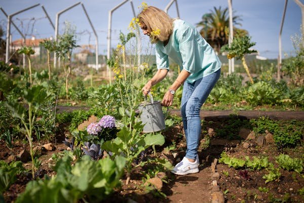 Les tendances incontournables pour embellir votre jardin
