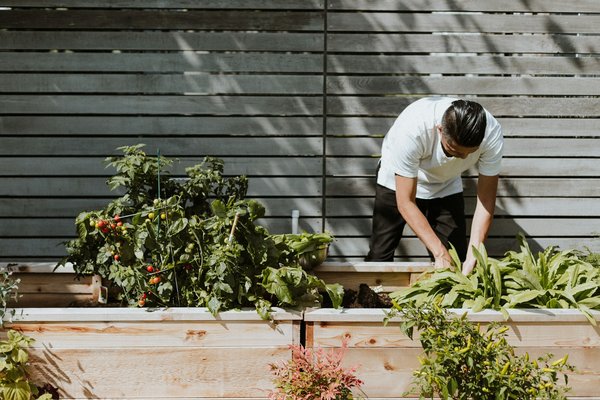Comment mettre en place un système d'irrigation économe en eau pour un jardin potager?