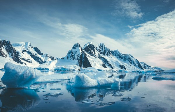 Découvrez les prix des croisières en antarctique.html en 2024
